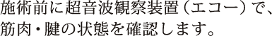 施術前に超音波観察装置（エコー）で、筋肉・腱の状態を確認します。